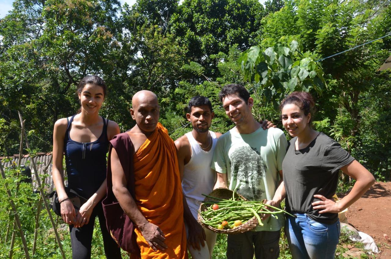 Spiritual Nature Farm - Sri Lanka Matale Eksteriør billede