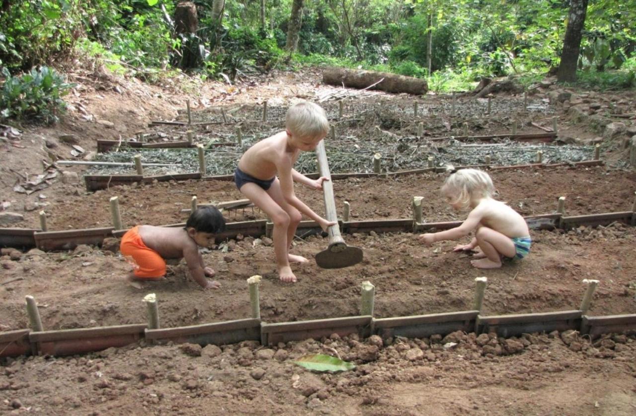 Spiritual Nature Farm - Sri Lanka Matale Eksteriør billede